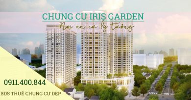 Tổng hợp quỹ căn bán tại chung cư Iris Garden Trần Hữu Dực